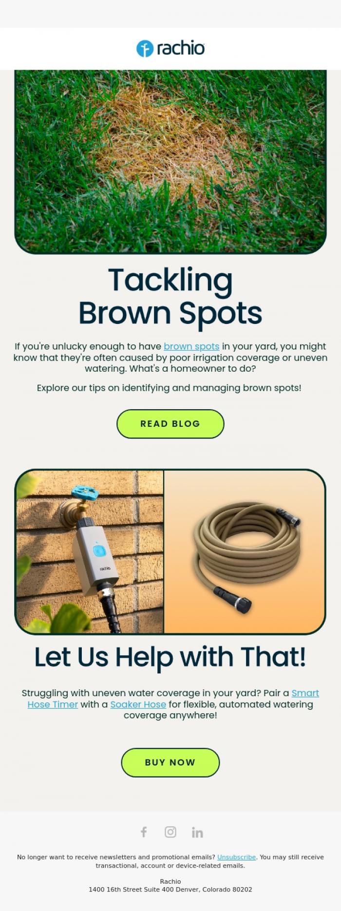 Email Design Inspiration from Rachio, Got brown spots? Here's what to do!