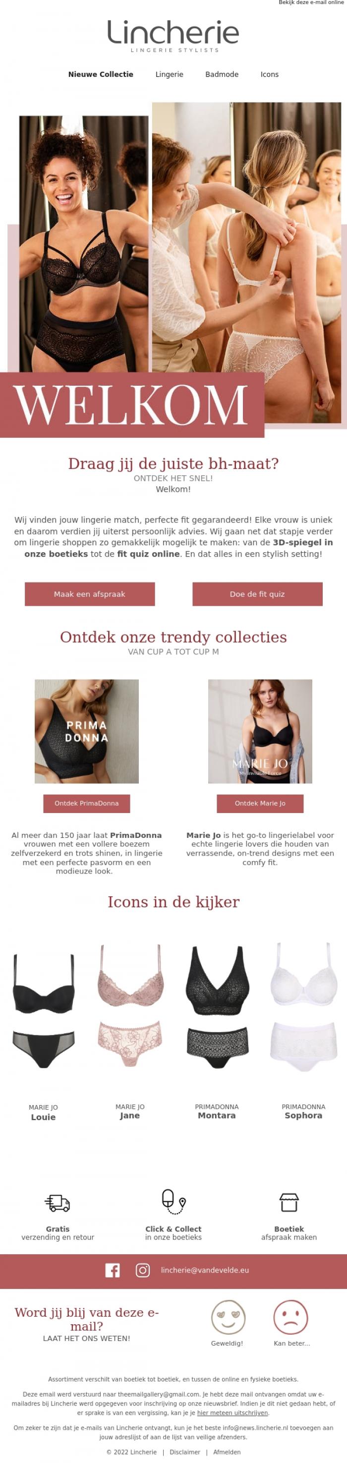 Email Design Inspiration from Lincherie, Welkom bij Lincherie! 💗