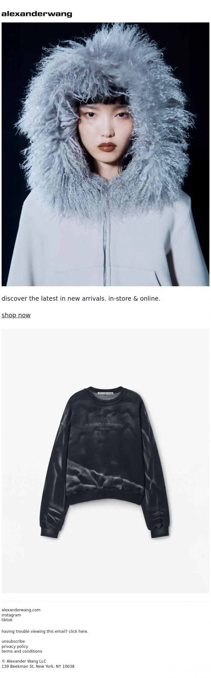 Email Design Inspiration from alexanderwang, *slams laptop shut*