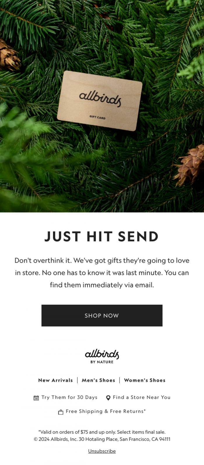Email Design Inspiration from Allbirds, There's Still Time