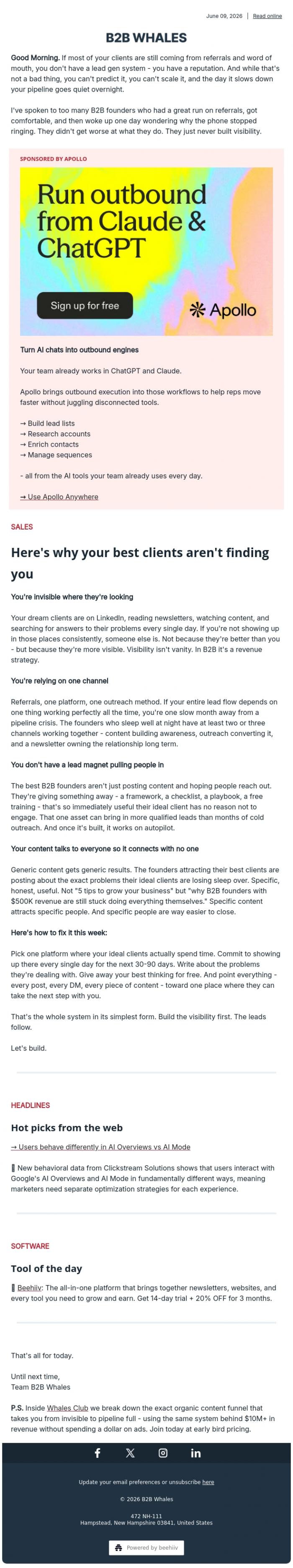 Email Design Inspiration from B2B Whales, 🧲 Why your best clients aren't finding you
