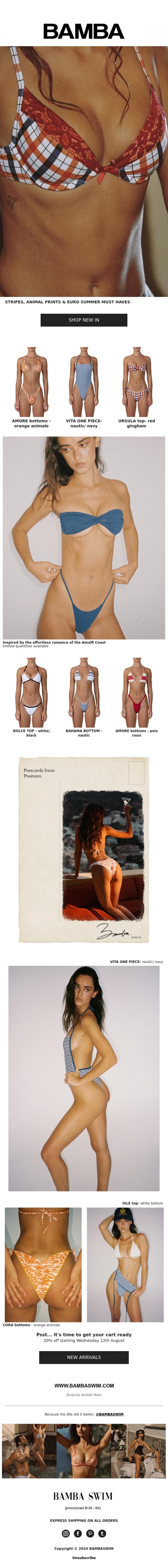 Email Design Inspiration from BAMBA SWIM, MEET OUR NEW SWIM