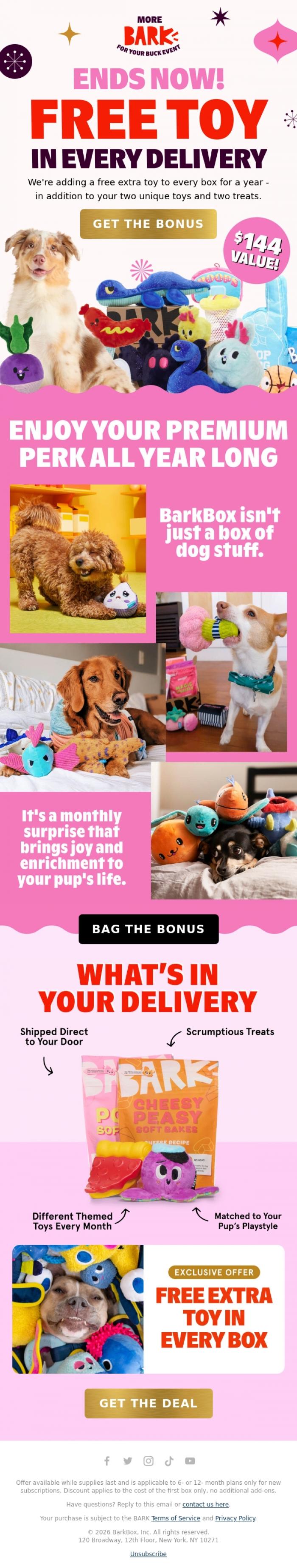 Email Design Inspiration from BARK, Now available: Your $144 bonus is on