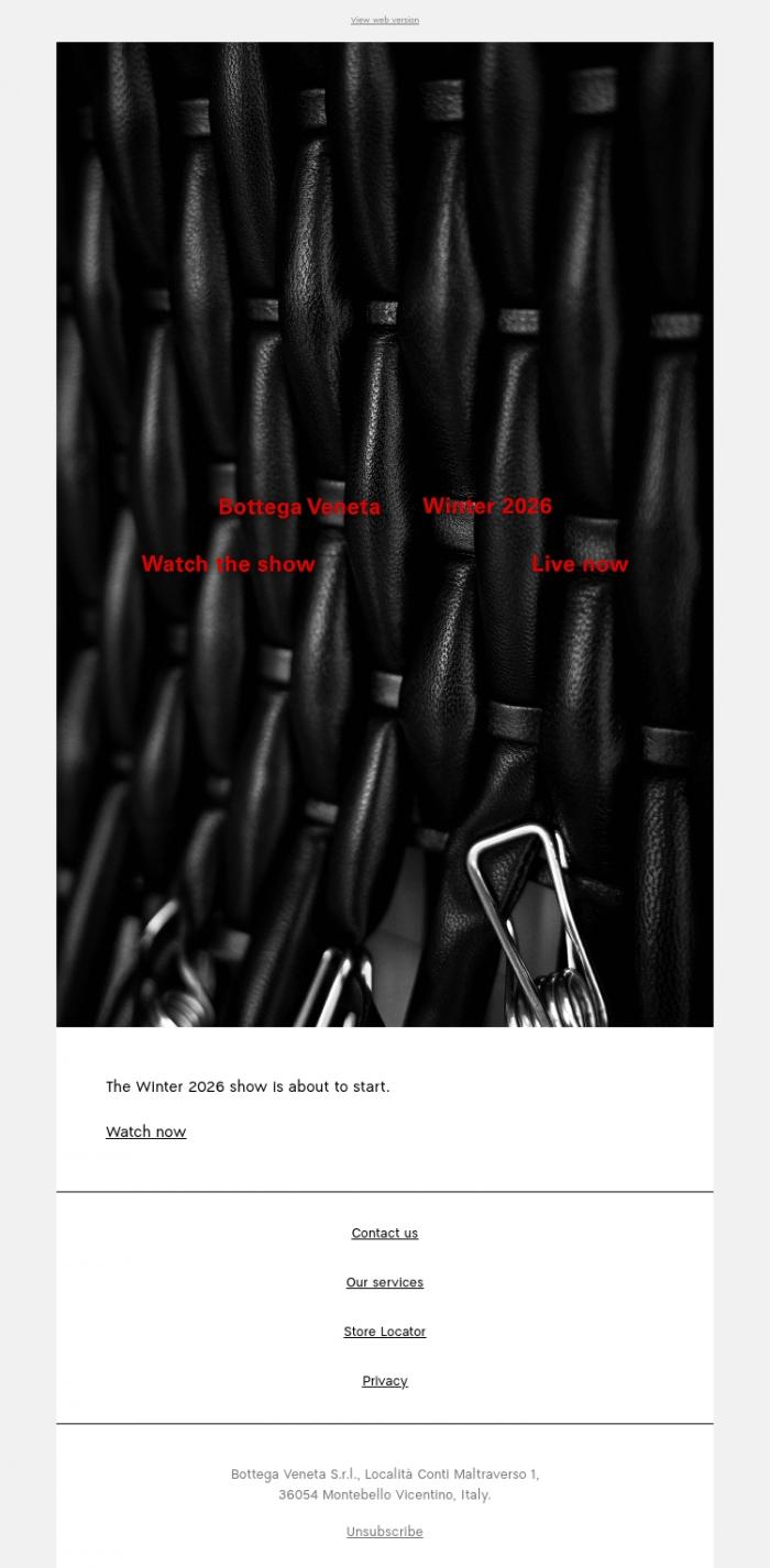 Email Design Inspiration from Bottega Veneta, It's show time