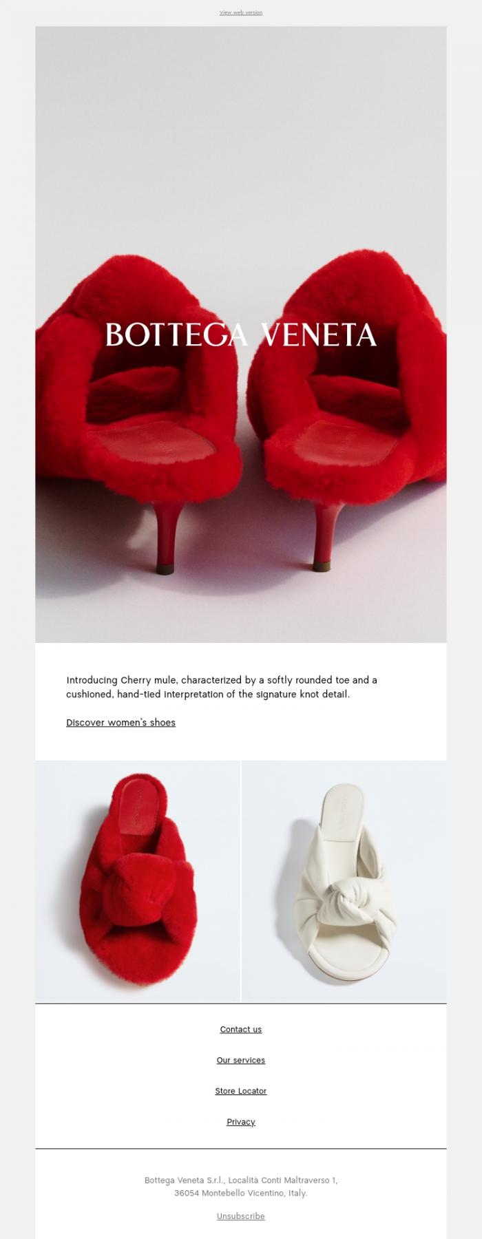 Email Design Inspiration from Bottega Veneta, Cherry mule