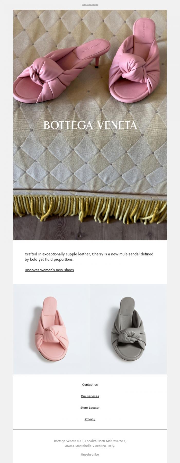 Email Design Inspiration from Bottega Veneta, Cherry mule
