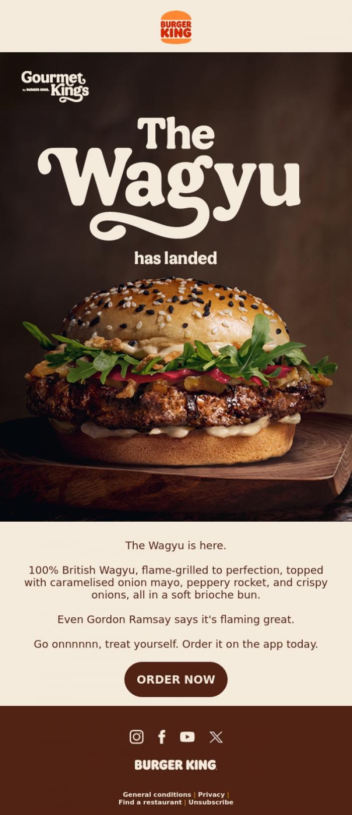 Email Design Inspiration from Burger King, Introducing: The Wagyu