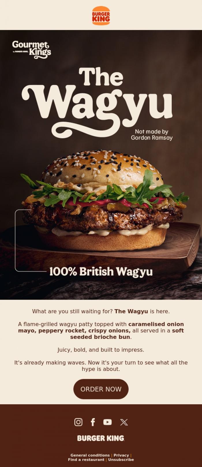 Email Design Inspiration from Burger King, Email gallery, see what all the hype is about
