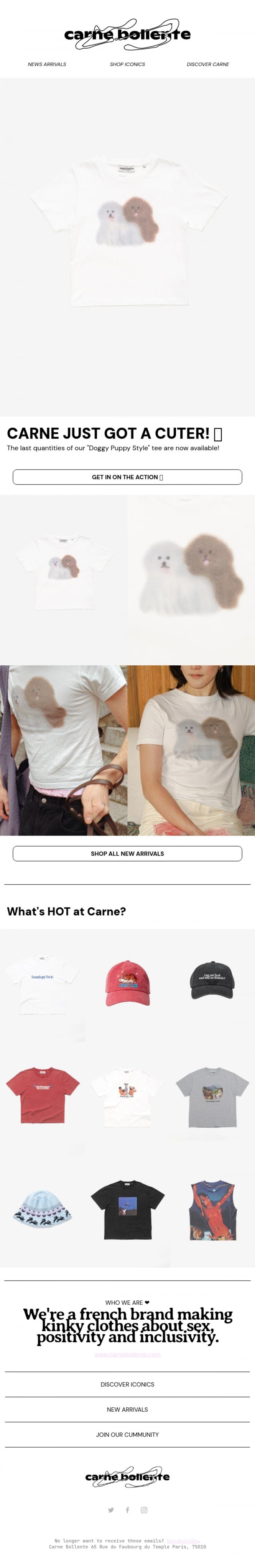 Email Design Inspiration from Carne Bollente, YOUR FAVORITE BABY TEE IS BACK ONLINE! 🐶