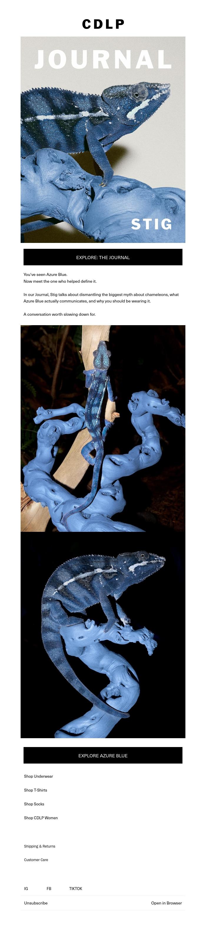 Email Design Inspiration from CDLP, Still Not Camouflage