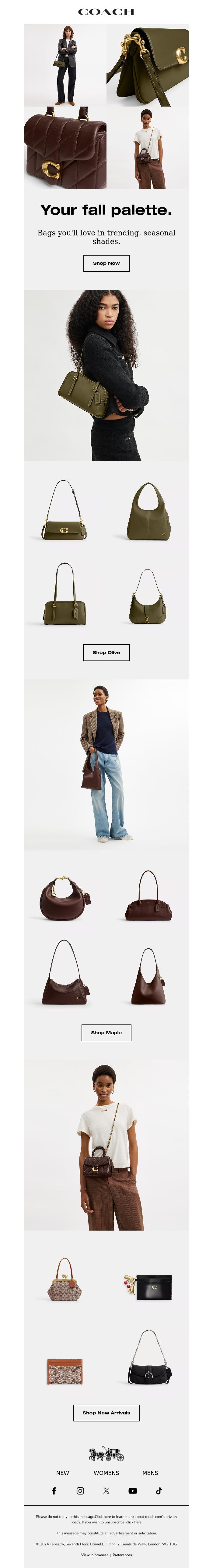 Email Design Inspiration from Coach UK, The colours of the season