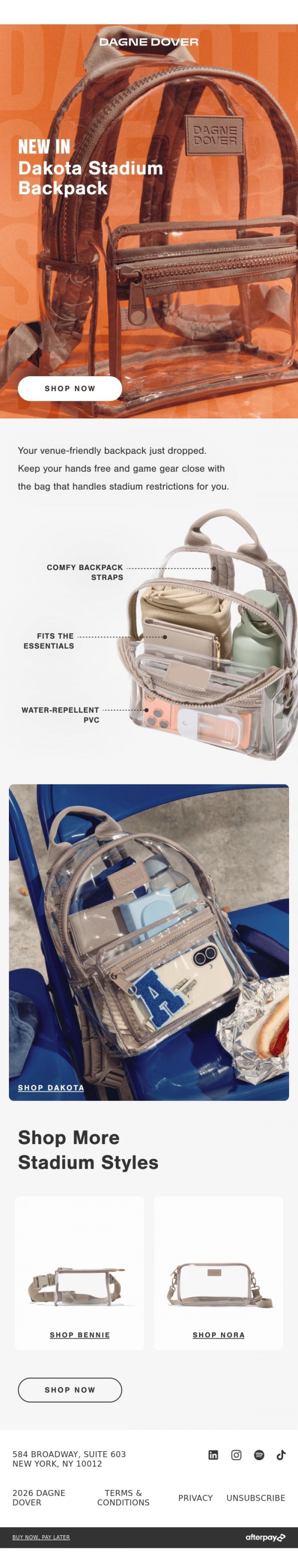 Email Design Inspiration from DAGNE DOVER, SHOP THE STADIUM RESTOCK.
