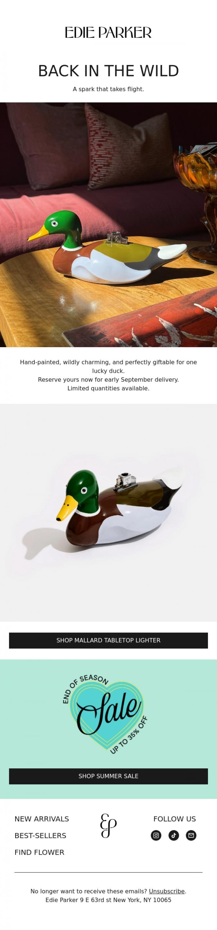 Email Design Inspiration from Edie Parker, THE DUCK LANDS SOON 🦆