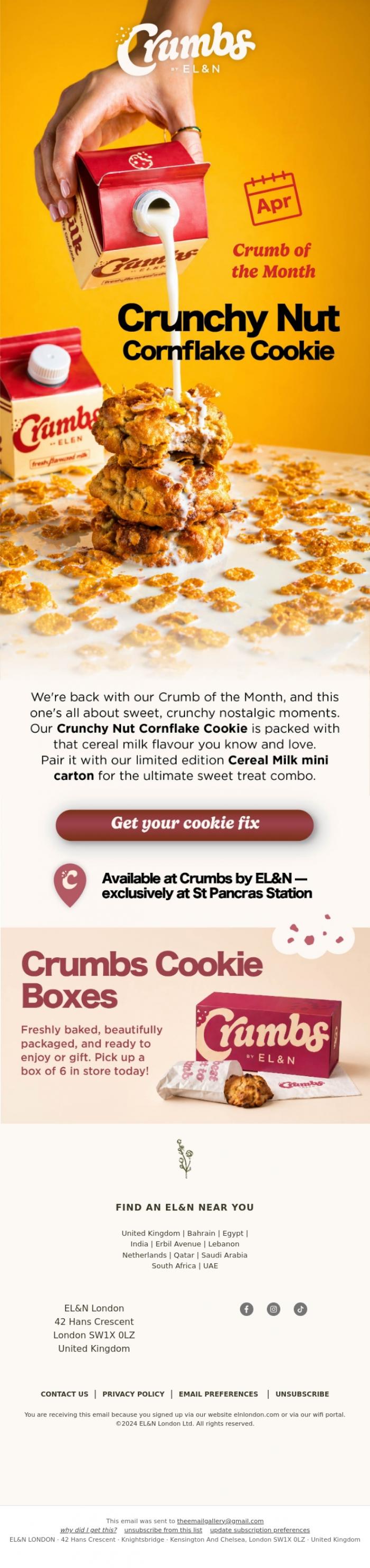 Email Design Inspiration from EL&N, Nostalgia unlocked at Crumbs 🥣🍪