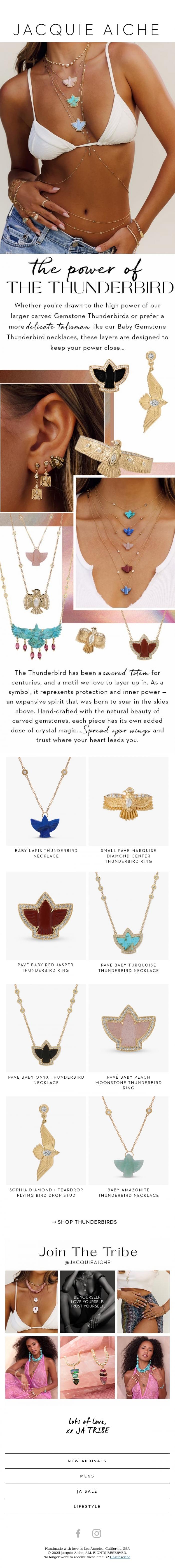 Email Design Inspiration from JACQUIE AICHE, Spread Your Wings 🪽