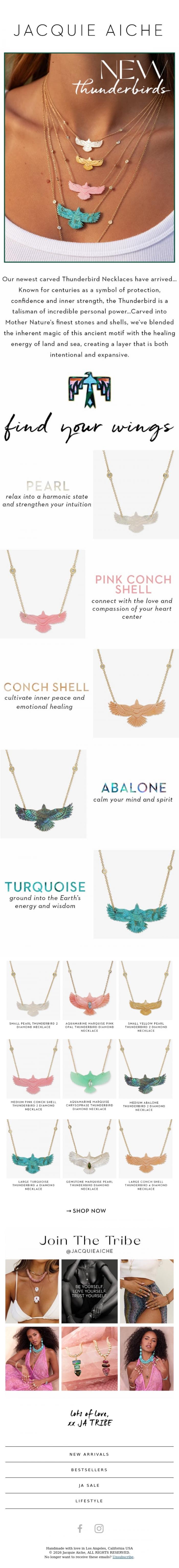 Email Design Inspiration from JACQUIE AICHE, New Thunderbirds ✨