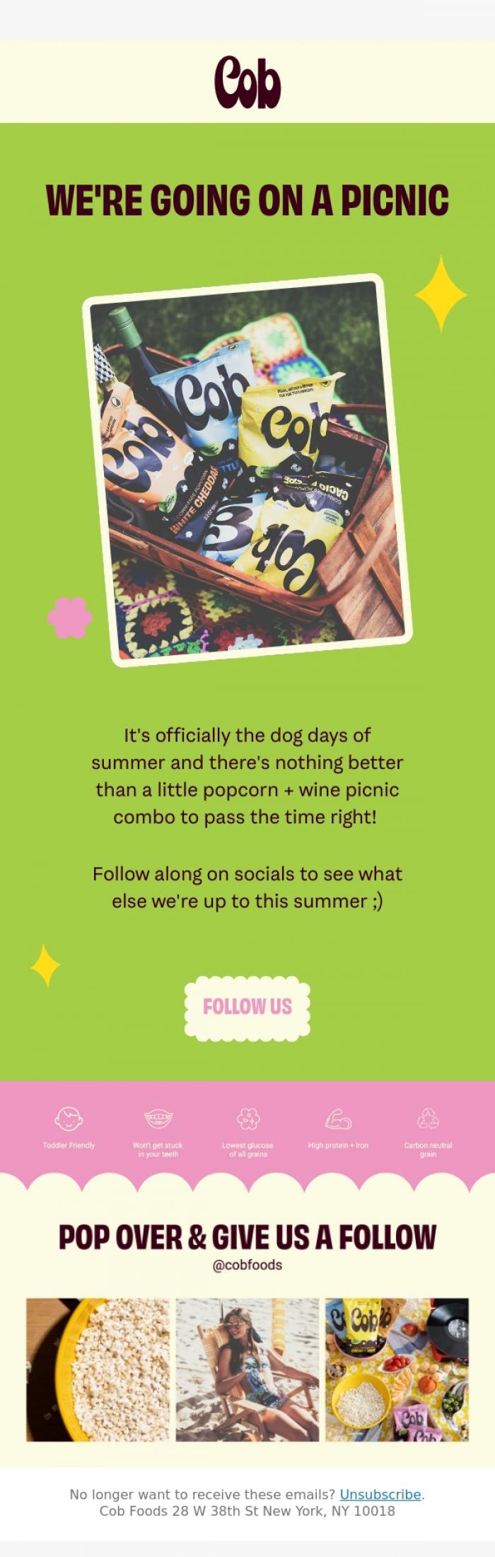 Email Design Inspiration from Jess @ Cob, The Dog Days of Summer...