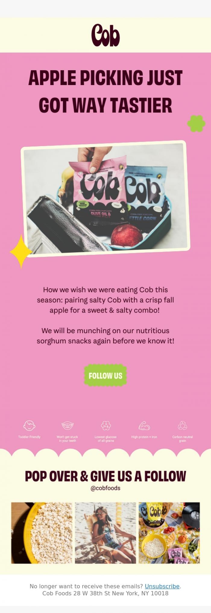 Email Design Inspiration from Jess @ Cob, Fall Treats We're Craving