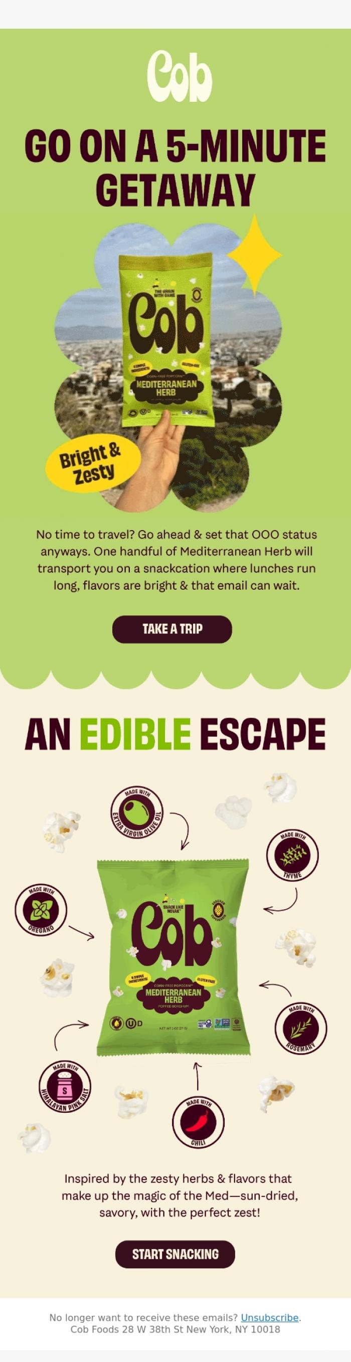 Email Design Inspiration from Jess @ Cob, OOO energy is just a snack break away