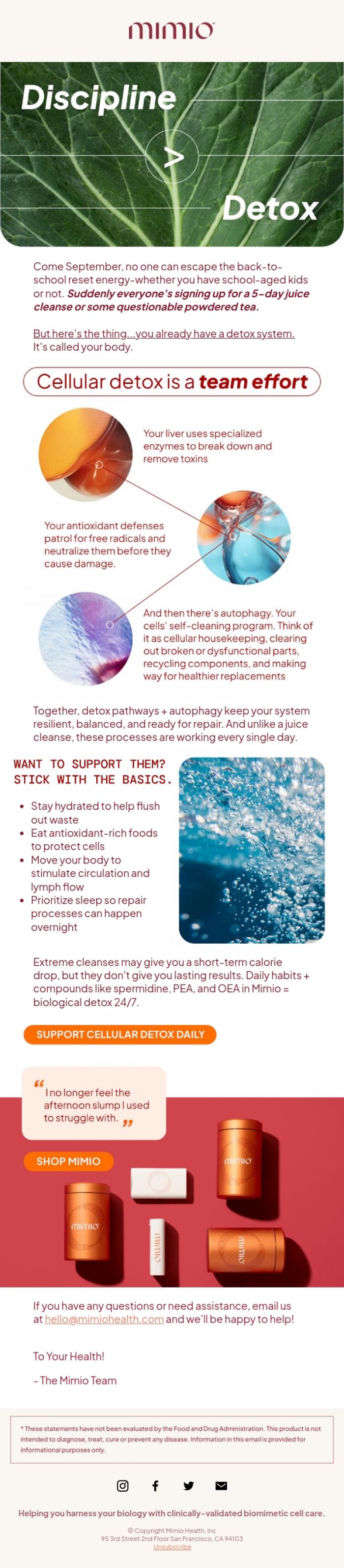 Email Design Inspiration from Mimio Health, Discipline over detox for longevity