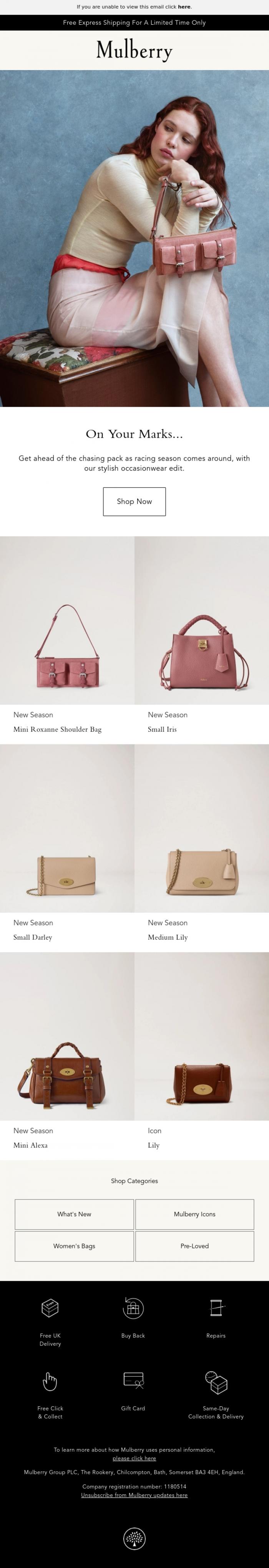 Email Design Inspiration from Mulberry, Occasionwear, made for you