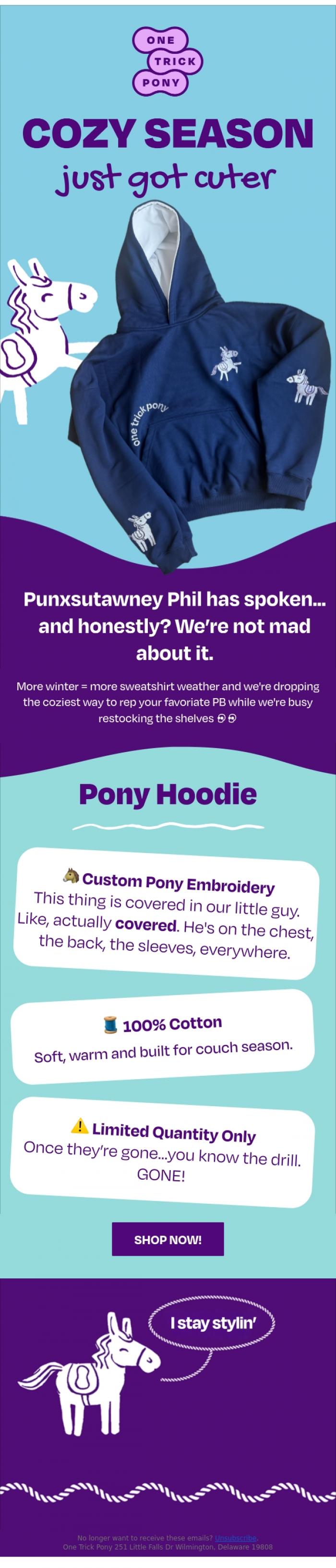 Email Design Inspiration from One Trick Pony, Cozy szn just got cuter 🐴