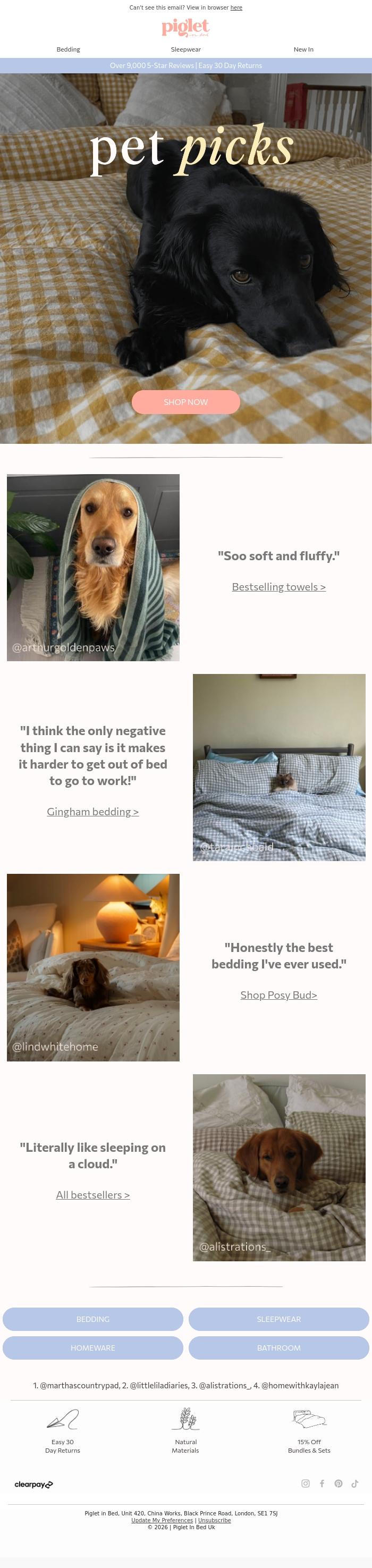 Email Design Inspiration from Piglet in Bed, 5* PET PICKS 🐕🩷