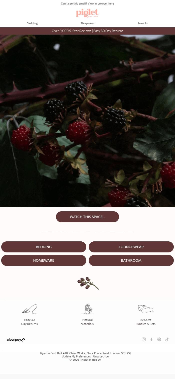 Email Design Inspiration from Piglet in Bed, Coming Soon: A Tale of House & Hedgerow