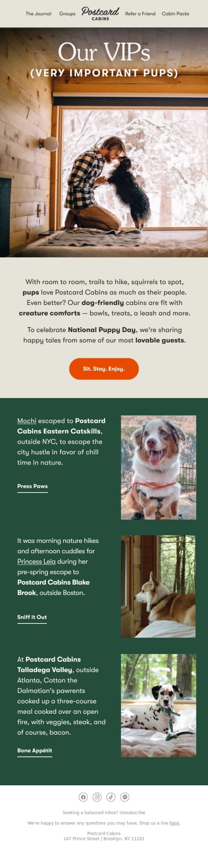 Email Design Inspiration from Postcard Cabins (formerly Getaway), Puppies and the great outdoors 🐾