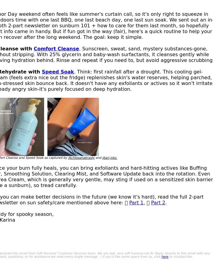 Email Design Inspiration from Soft Services, 'Til next year, summer.