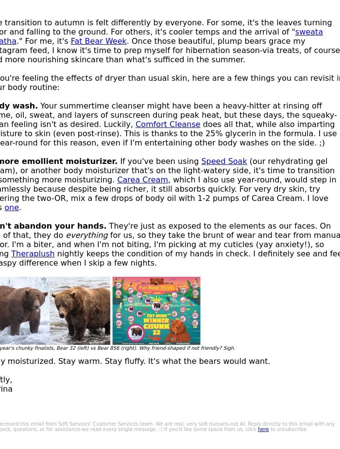 Email Design Inspiration from Soft Services, Prepping for winter like the bears. 🍂