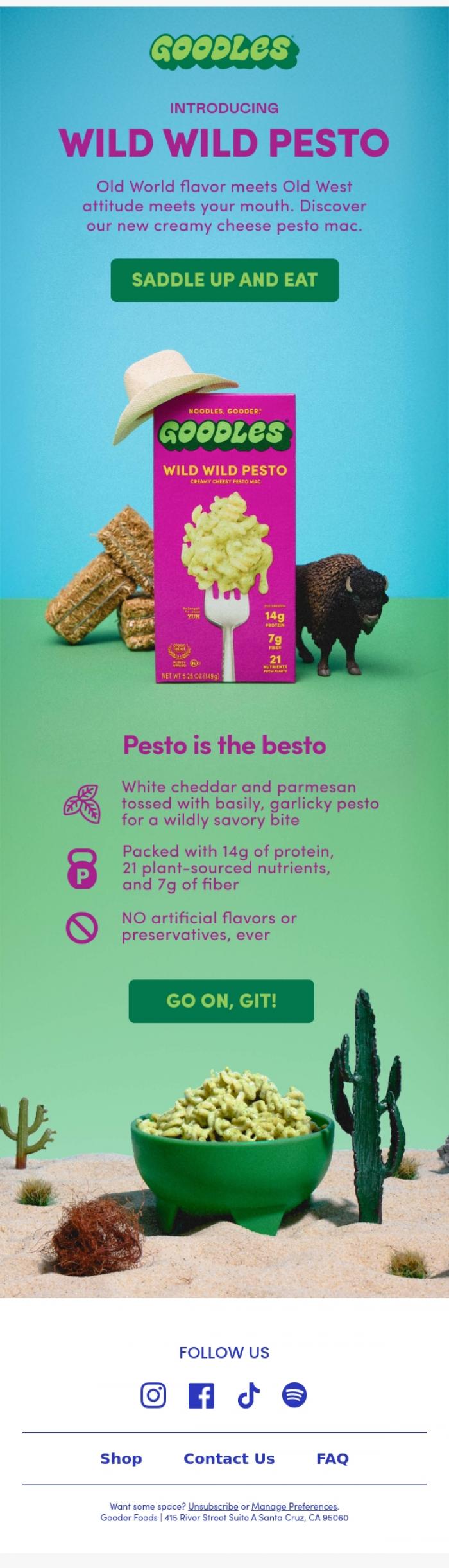 Email Design Inspiration from Team GOODLES, WILD WILD PESTO is here 🌵
