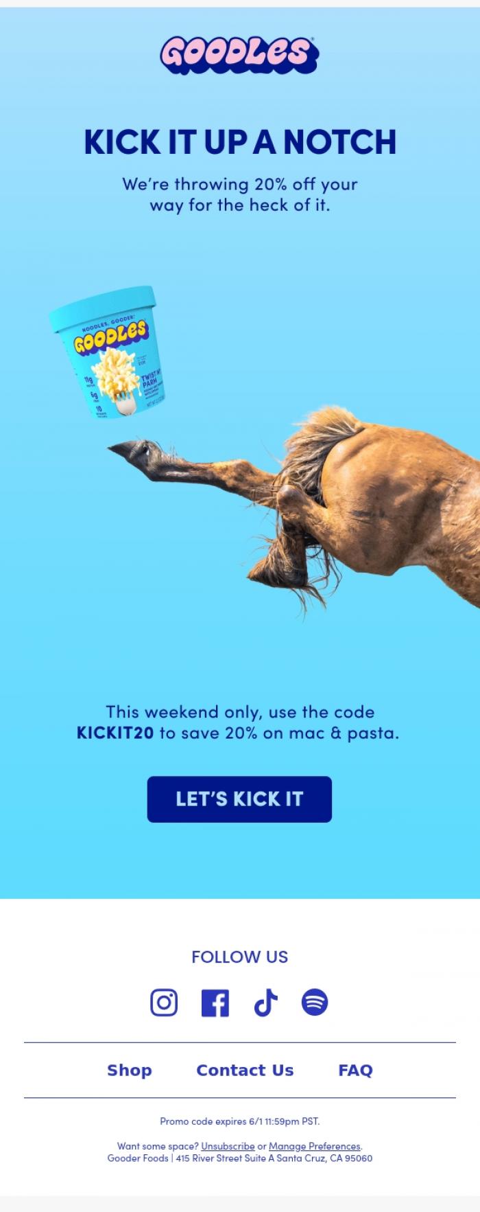 Email Design Inspiration from Team GOODLES, ENDING SOON! 20% OFF