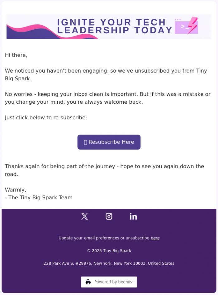 Email Design Inspiration from Tiny Big Spark, Goodbye for now 😢