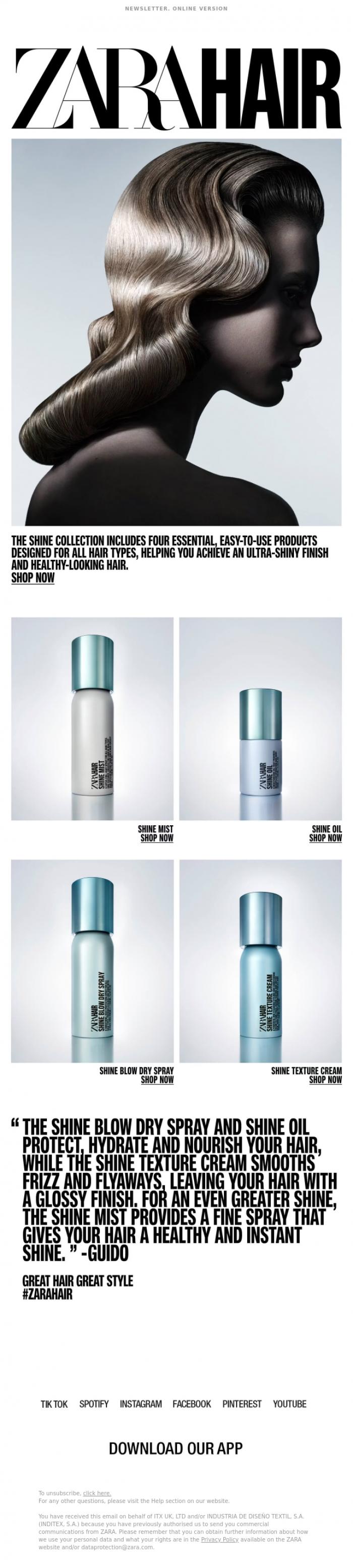 Email Design Inspiration from Zara, ZARA HAIR SHINE COLLECTION